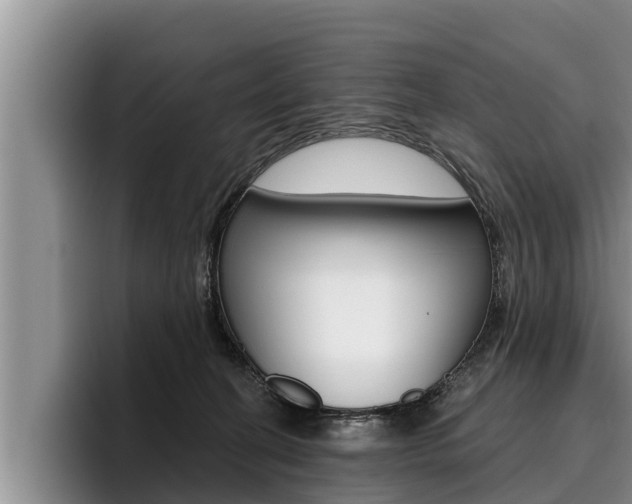 X0000096210274200801181015