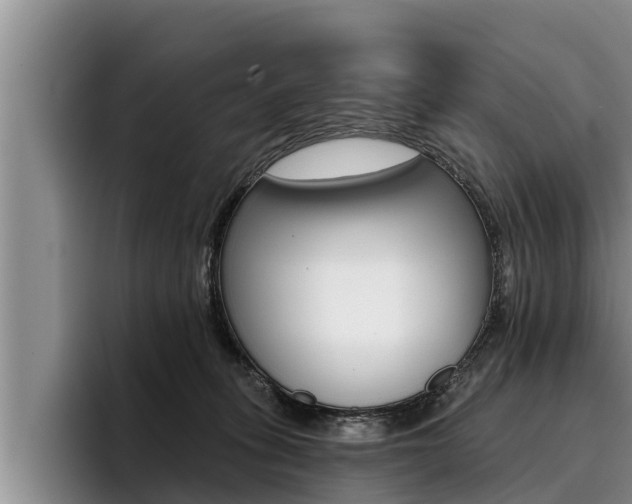X0000096210275200801181015