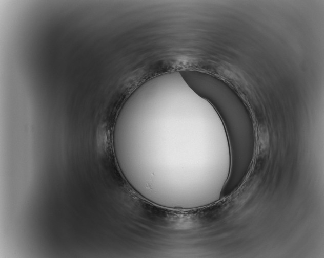 X0000096210276200801181015