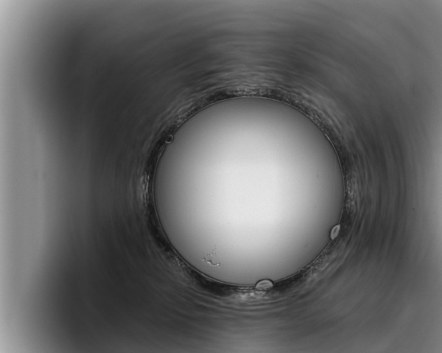 X0000096210278200801181015