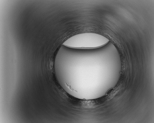 X0000096210281200801181015