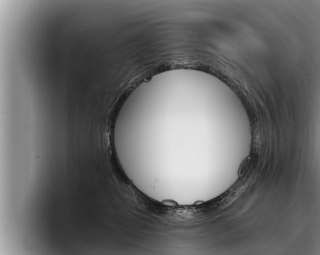 X0000096210282200801181015