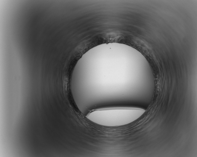 X0000096210283200801181015