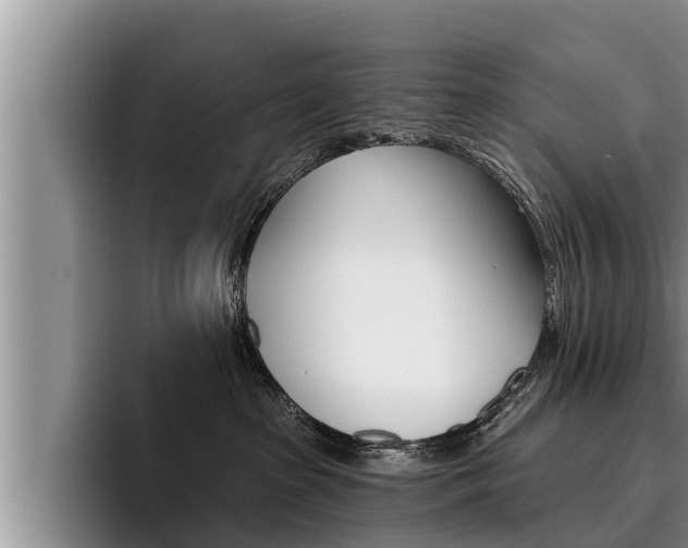 X0000096210285200801181015