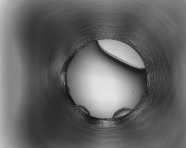 X0000096210286200801181015