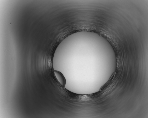 X0000096210287200801181015