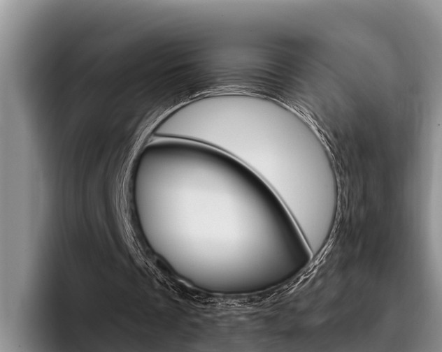 X0000096210289200801181015