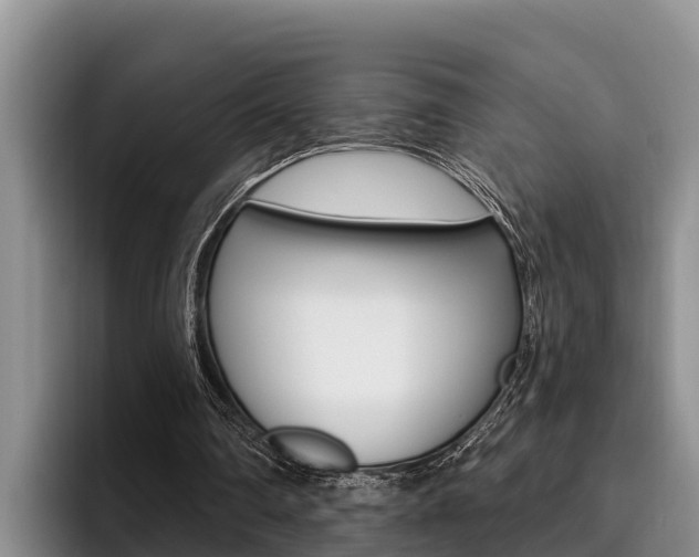 X0000096210290200801181015