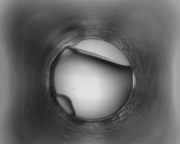 X0000096210291200801181015