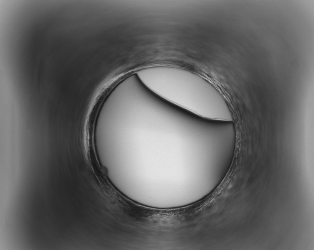 X0000096210294200801181015