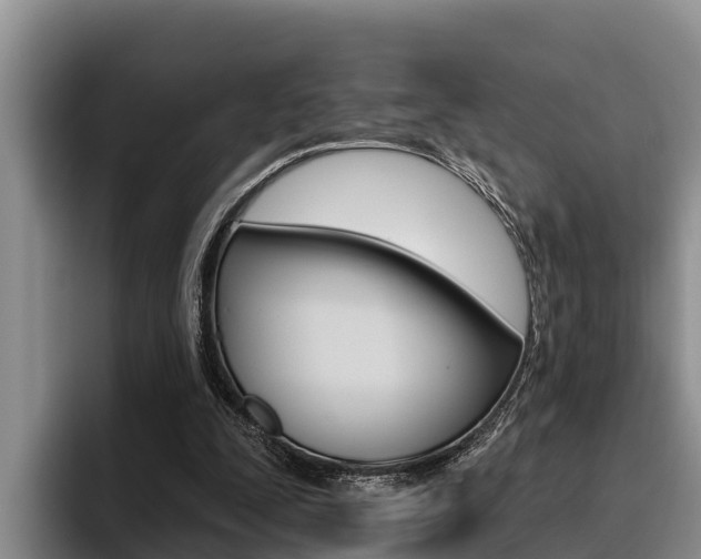 X0000096210295200801181015