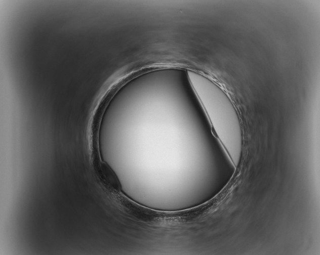 X0000096210296200801181015