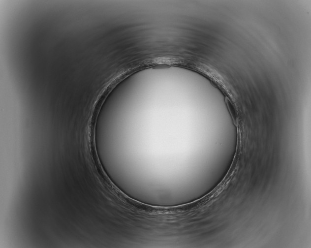 X0000096210297200801181015