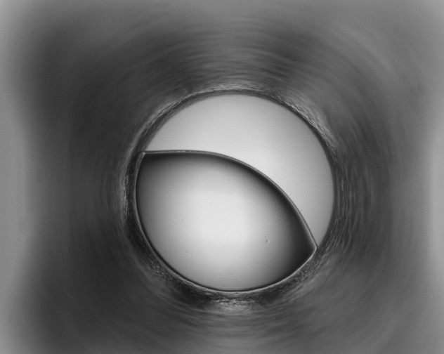 X0000096210300200801181015