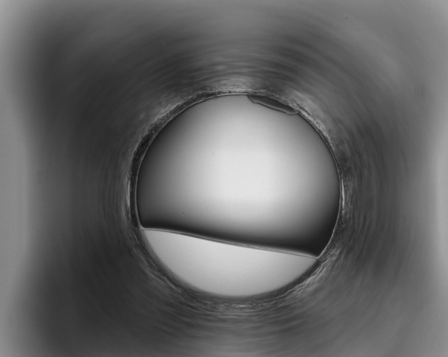 X0000096210301200801181015