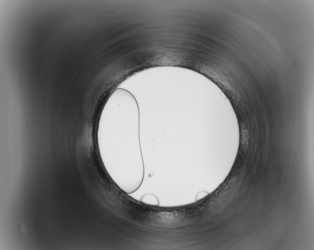 X0000096210302200801181015