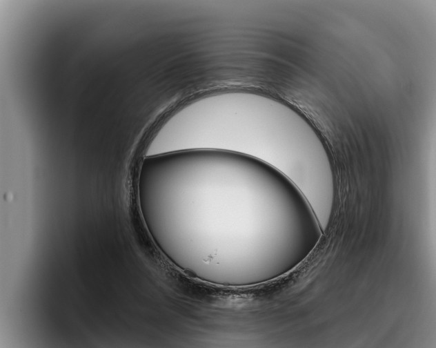X0000096210304200801181015