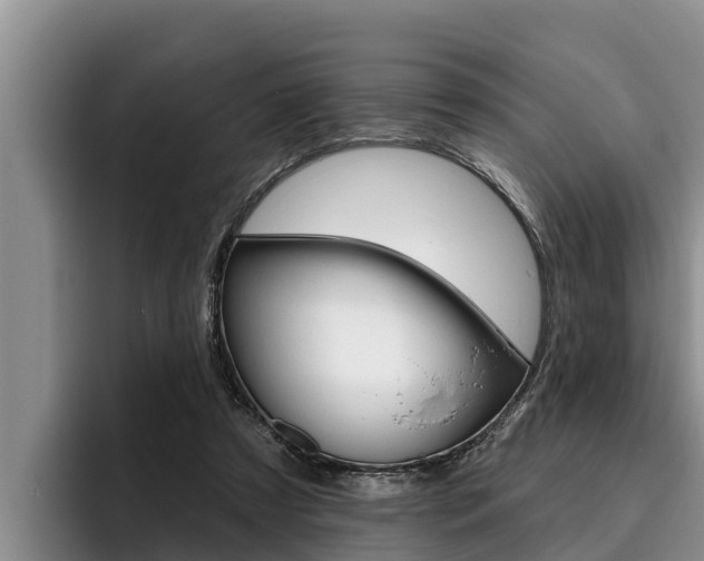 X0000096210305200801181015