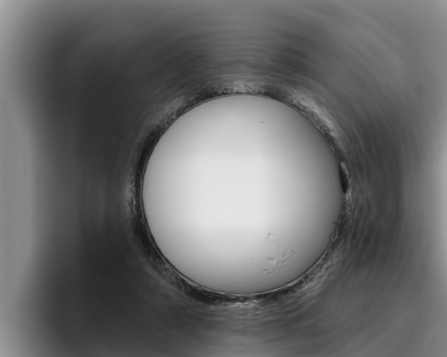 X0000096210306200801181015