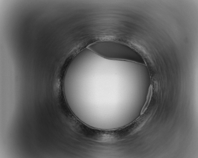 X0000096210308200801181015