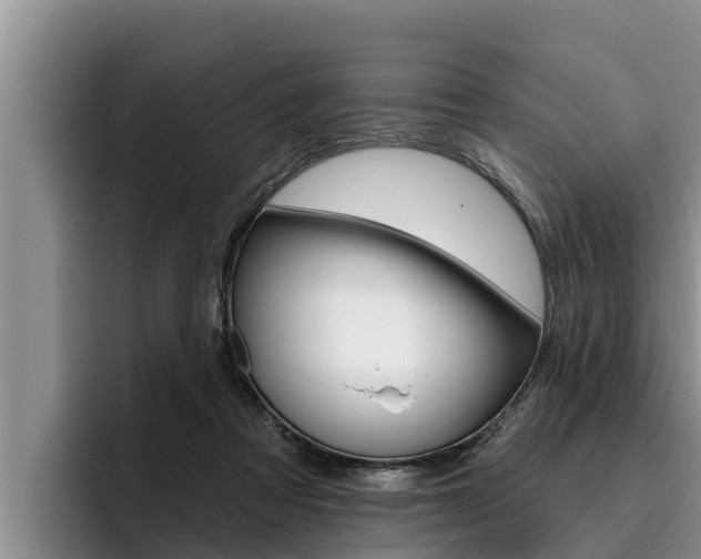 X0000096210313200801181015