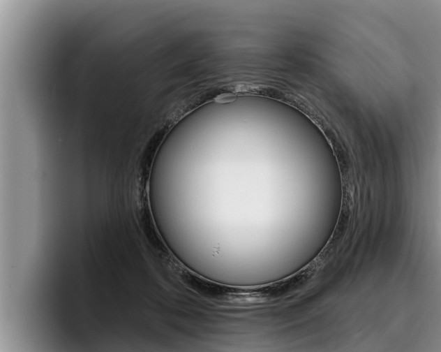 X0000096210316200801181014