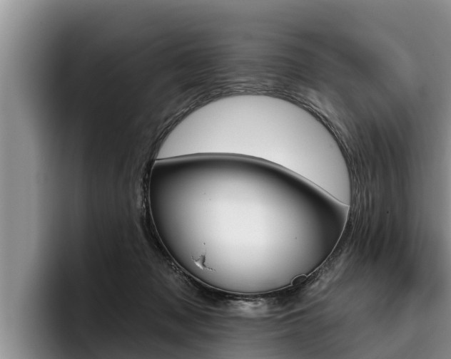 X0000096210317200801181014