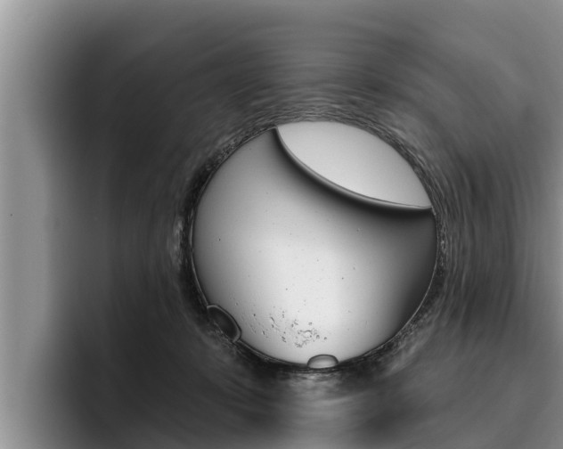 X0000096210319200801181014