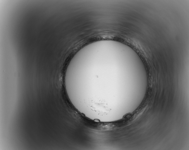 X0000096210321200801181014