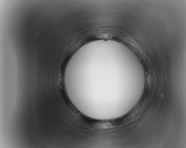 X0000096210322200801181014