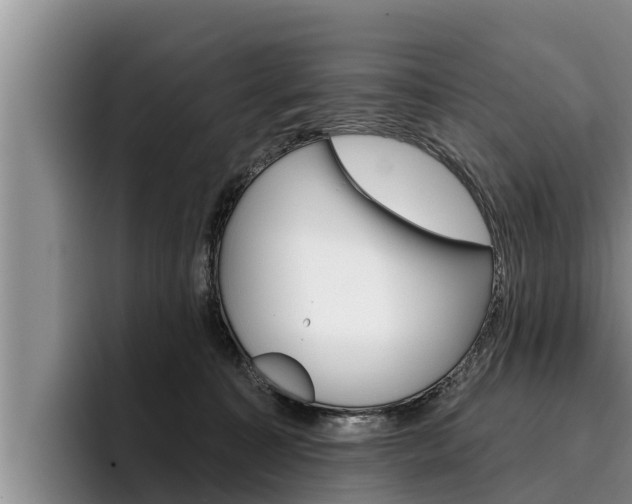 X0000096210323200801181014