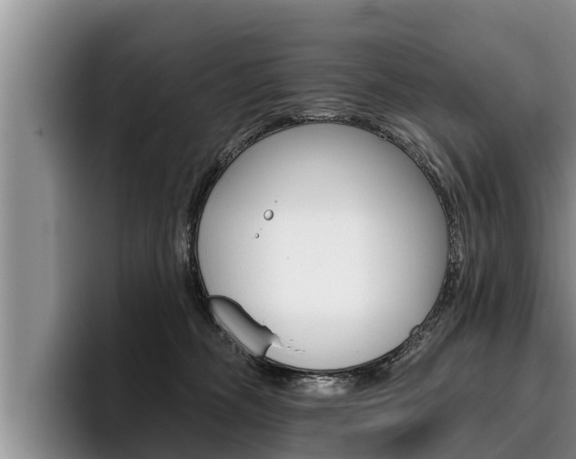 X0000096210326200801181014