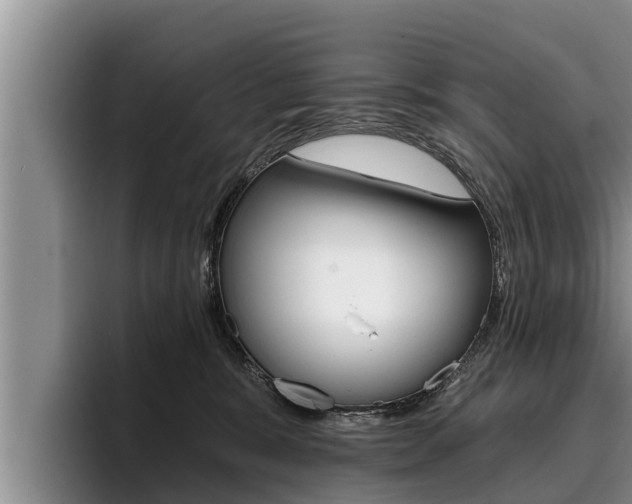 X0000096210327200801181014