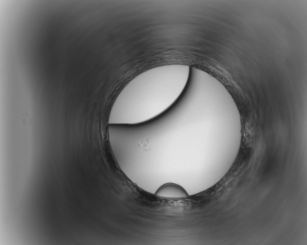 X0000096210330200801181014