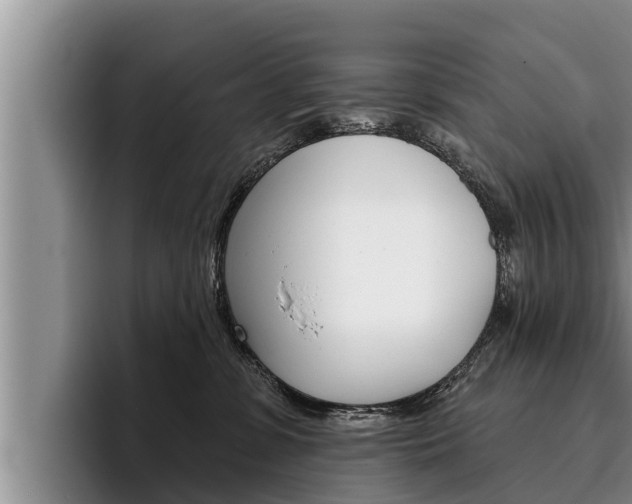 X0000096210331200801181014