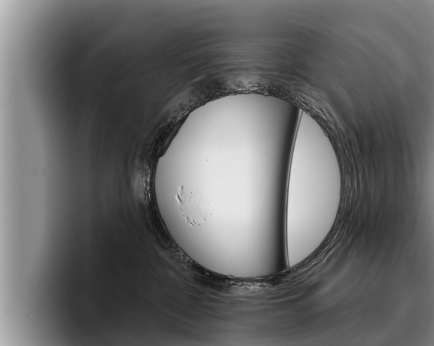 X0000096210332200801181014