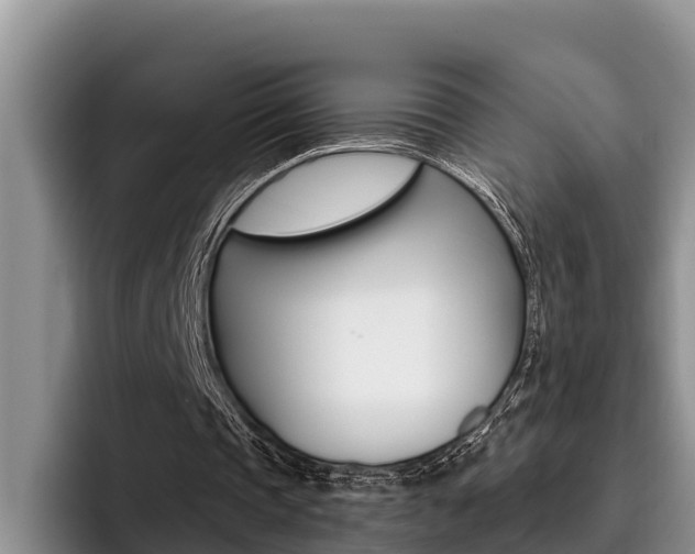 X0000096210337200801181014