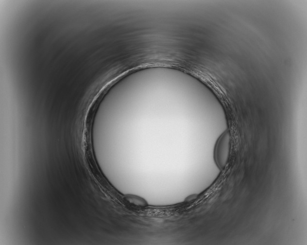 X0000096210338200801181014