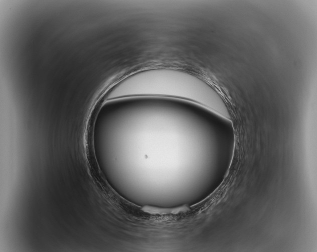 X0000096210340200801181014