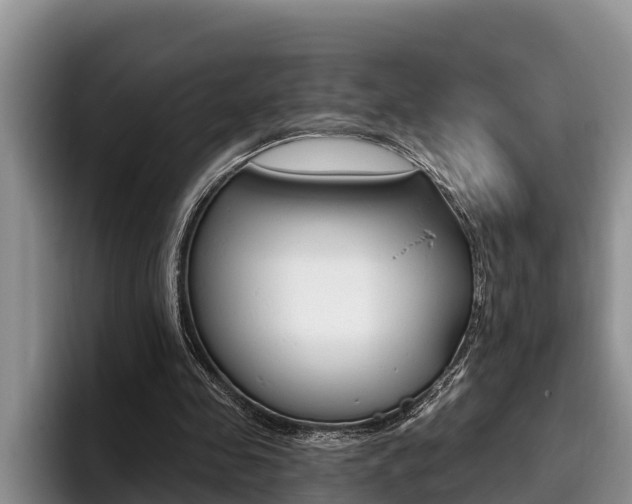 X0000096210341200801181014