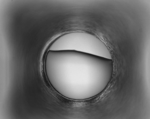 X0000096210342200801181014