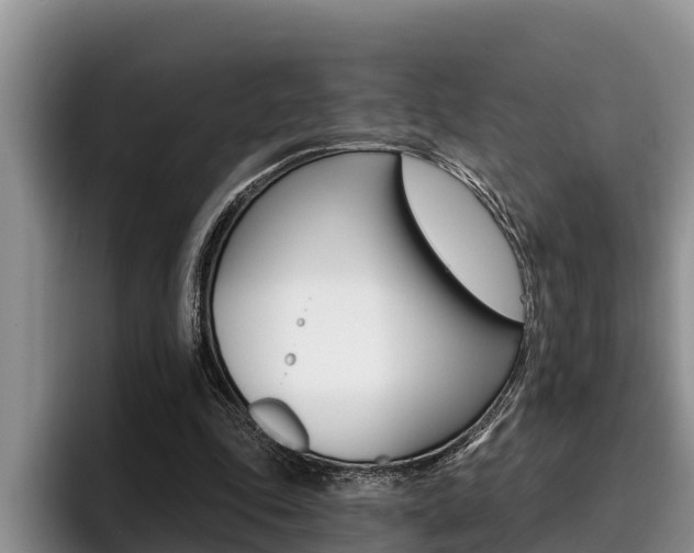 X0000096210343200801181014