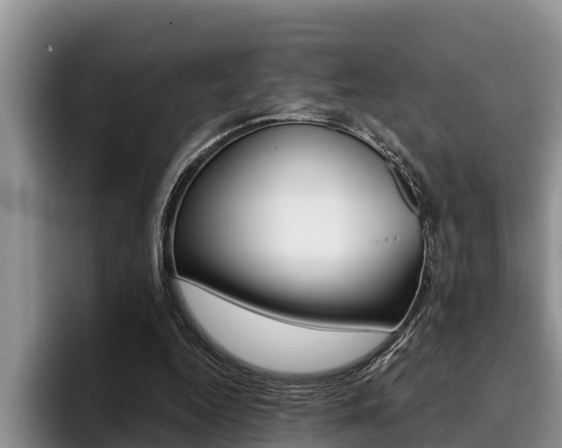 X0000096210344200801181014