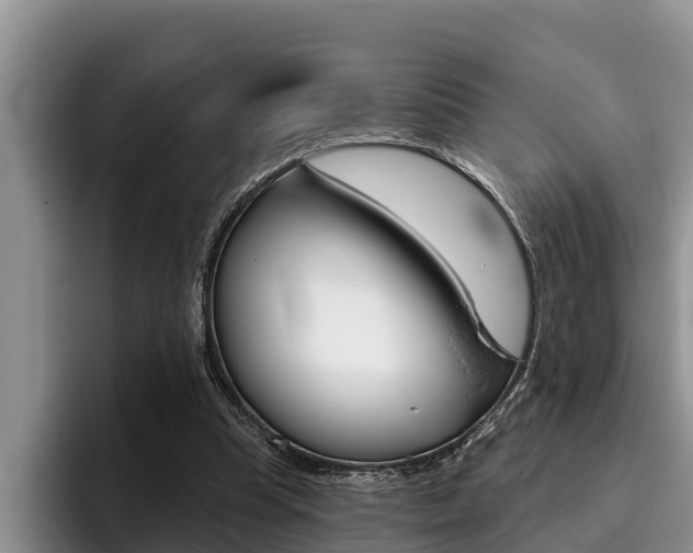 X0000096210345200801181014
