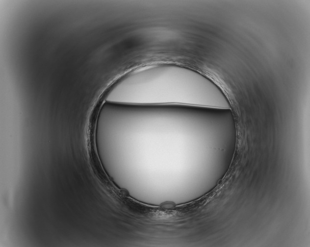 X0000096210346200801181014