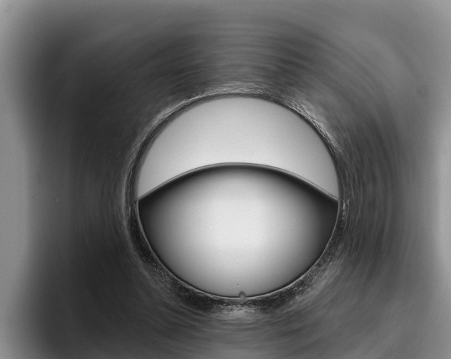 X0000096210348200801181014