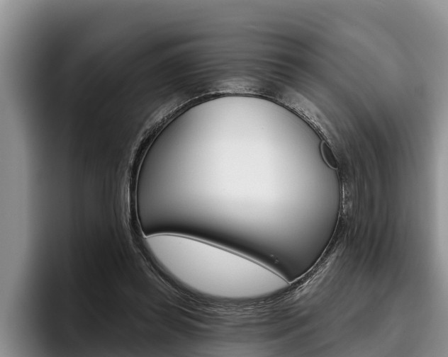 X0000096210349200801181014