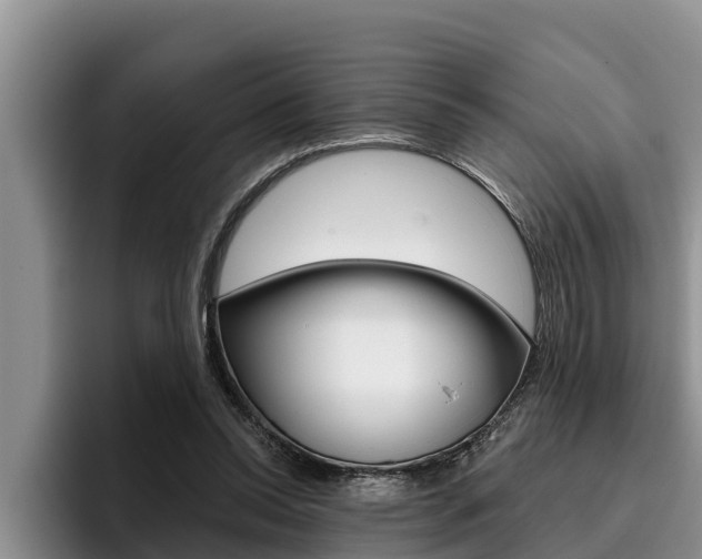 X0000096210350200801181014