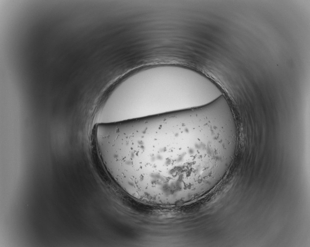 X0000096210351200801181014