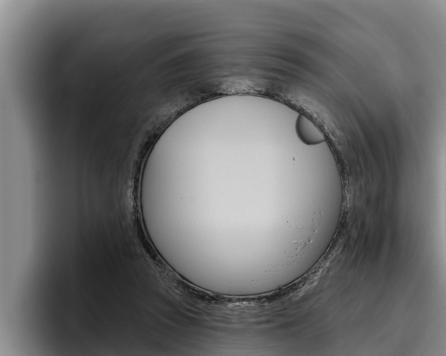 X0000096210353200801181014